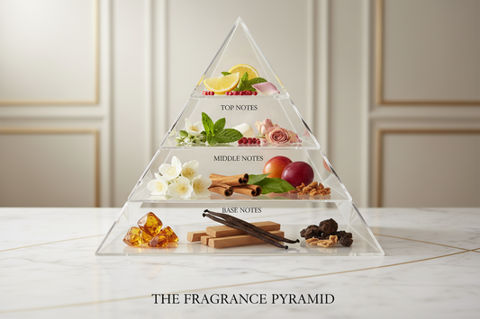 Piramide olfattiva profumo - Note di testa cuore e fondo spiegate visivamente